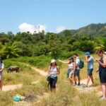 Sustainable Travel Advice for Responsible Tourists